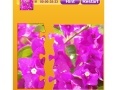 Jeu Bougainvillea Jigsaw