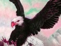 Jeu Wild acrobat eagle puzzle