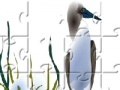 Jeu Sea Bird Jigsaw