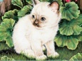 Jeu Art Kittens Jigsaw 3