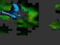 Jeu Butterfly Puzzle