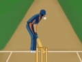 Jeu Super Cricket