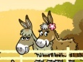 Jeu Mi and my donkey