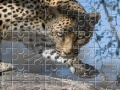 Jeu Leopard Jigsaw Puzzle