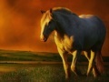 Jeu The horse at Sunset