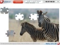 Jeu Zebras Jigsaw