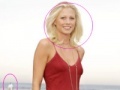Jeu Sexy Celebrity Photo Hunt