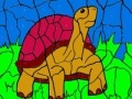 Jeu Turtle and ball coloring