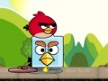 Jeu Angry birds. Find your partner