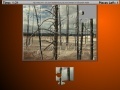Jeu Burned Trees Moving Jigsaw