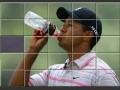 Jeu Tiger Woods