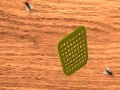 Jeu Fly Swatter