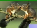 Jeu Lovely squirrels slide puzzle