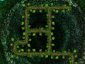 Jeu Root Your Way