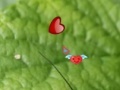 Jeu Hidden Nature Hearts
