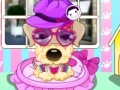 Jeu Pampered Dog Salon