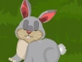 Jeu Dora Rabbit Care