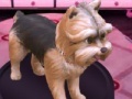 Jeu Barbie: Groom and Glam Pups