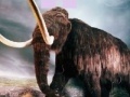 Jeu Puzzle - Mammoth