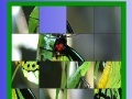 Jeu Green butterfly slide puzzle