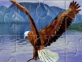 Jeu Eagle