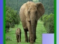 Jeu Mother and tiny elephant slide puzzle