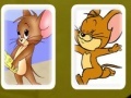 Jeu Tom and Jerry Cards Match