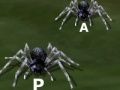 Jeu Tarantuloid Typing Terror