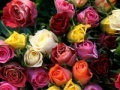 Jeu Valentines Day