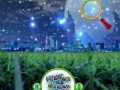Jeu Hidden Stars Night Beauty