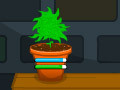 Jeu Potion Fun