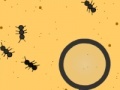 Jeu Fourmis