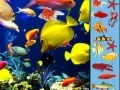Jeu Underwater Hidden Objects