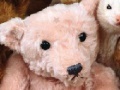 Jeu Hidden stars: Stuffed animal