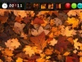 Jeu Autumn Hidden Images