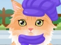 Jeu Kitty Groomer