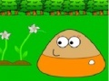 Jeu Puzzle Pou in Garden