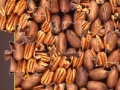 Jeu Pecan Mosaic Jigsaw