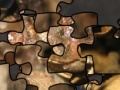 Jeu Puzzle of the American toad
