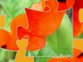Jeu Oriental Poppy Jigsaw