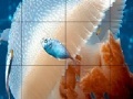 Jeu Mosaic jellyfish slide puzzle