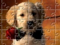 Jeu Puzzles Little Puppy
