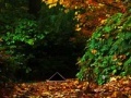 Jeu October escape