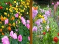 Jeu Flowers Similarities
