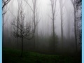 Jeu Morning mist jigsaw