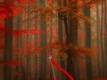 Jeu Hidden Target Red Forest