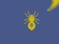 Jeu C spider