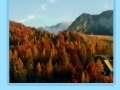 Jeu Slovenia jigsaw