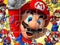 Jeu Puzzles de Mario Bros