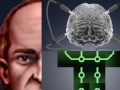 Jeu Berts Brain